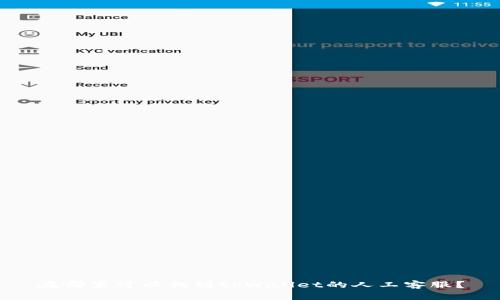 在哪里可以找到tpWallet的人工客服？
