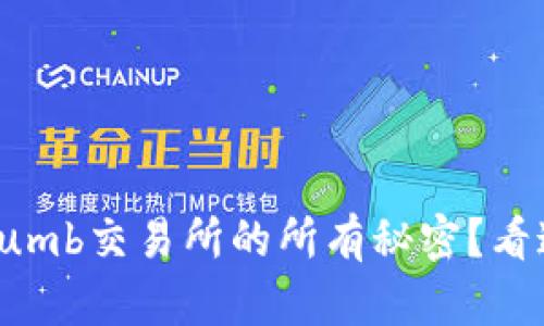 想知道Bithumb交易所的所有秘密?看这里就对了!
