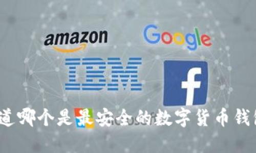 你知道哪个是最安全的数字货币钱包吗?