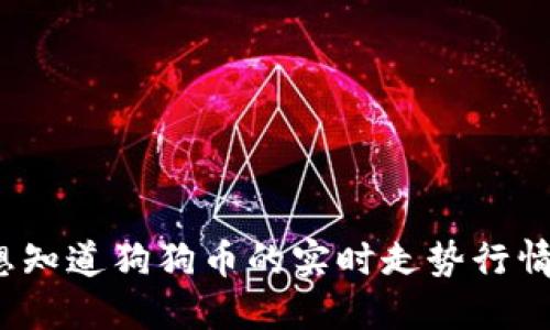 你想知道狗狗币的实时走势行情吗?