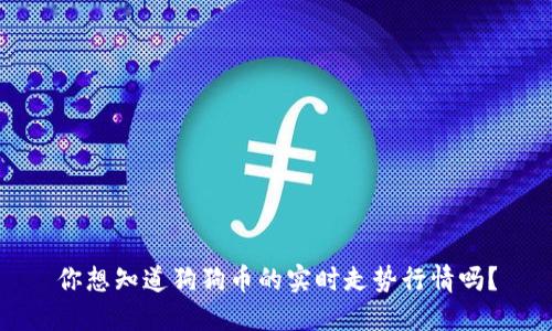 你想知道狗狗币的实时走势行情吗?