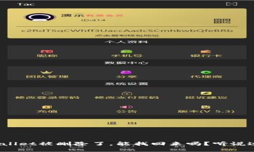 tpWallet被删除了,能找回来吗?听说过没?