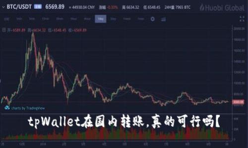 tpWallet在国内转账,真的可行吗?