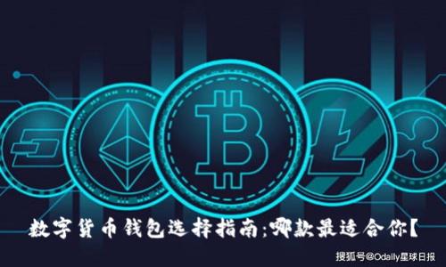 数字货币钱包选择指南:哪款最适合你?