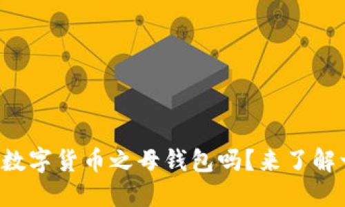 你知道数字货币之母钱包吗?来了解一下吧!