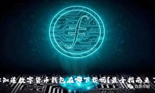 你知道数字货币钱包在哪下载吗?最全指南来了!