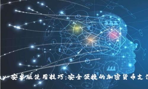 BitPay 安卓版使用技巧:安全便捷的加密货币支付指南