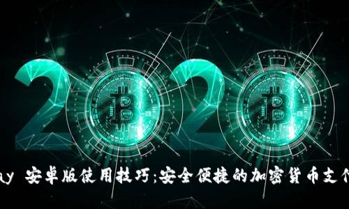 BitPay 安卓版使用技巧:安全便捷的加密货币支付指南
