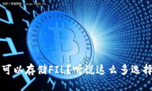 哪个数字钱包可以存储FIL?听说这么多选择,你选对了吗?