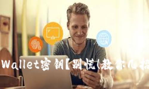丢失tpWallet密钥?别慌!教你几招找回它