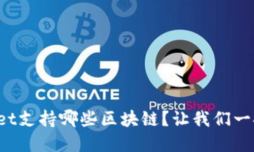 tpWallet支持哪些区块链?让我们一探究竟!