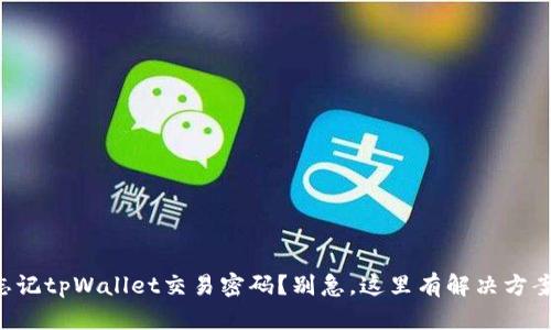 忘记tpWallet交易密码?别急,这里有解决方案!