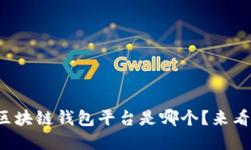 全球最大的区块链钱包平台是哪个?来看看你的选择!