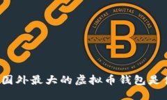 你知道国外最大的虚拟币