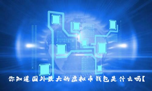 你知道国外最大的虚拟币钱包是什么吗？