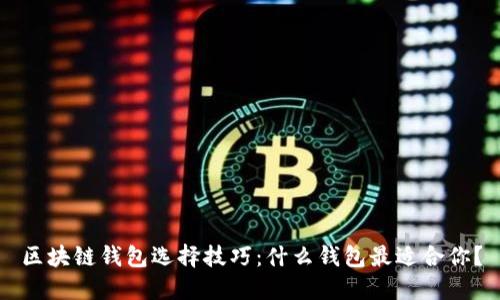 区块链钱包选择技巧：什么钱包最适合你？