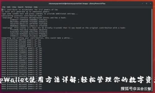 tpWallet使用方法详解：轻松管理你的数字资产
