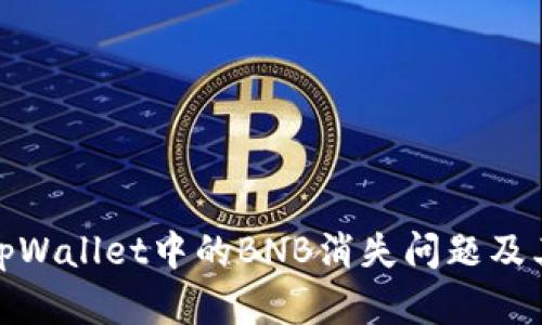 如何解决tpWallet中的BNB消失问题及其预防措施