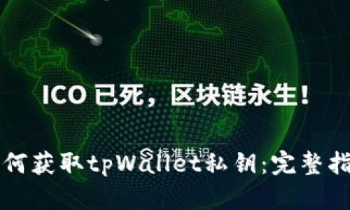 如何获取tpWallet私钥：完整指南